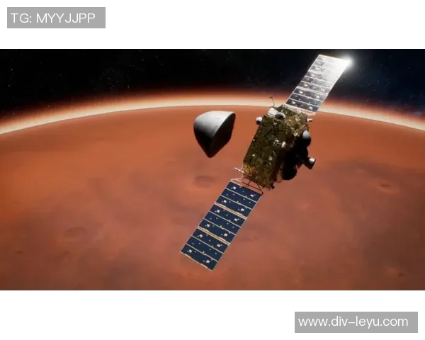 星际足球的价格揭秘你绝对想不到的费用与价值分析